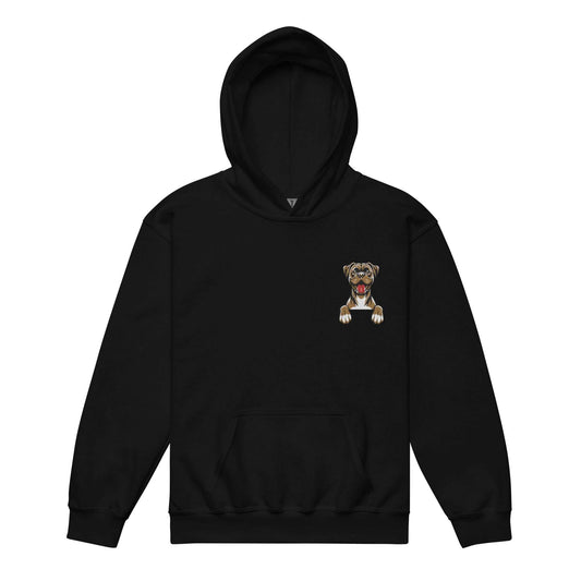 Boxer Dog Embroidery Premium Youth Unisex Hoodie
